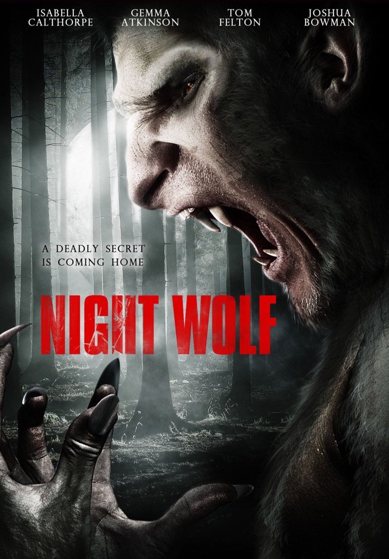 Night Wolf / 13hrs poster
